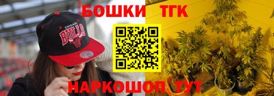 крисы Краснознаменск