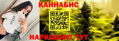 крисы Краснознаменск