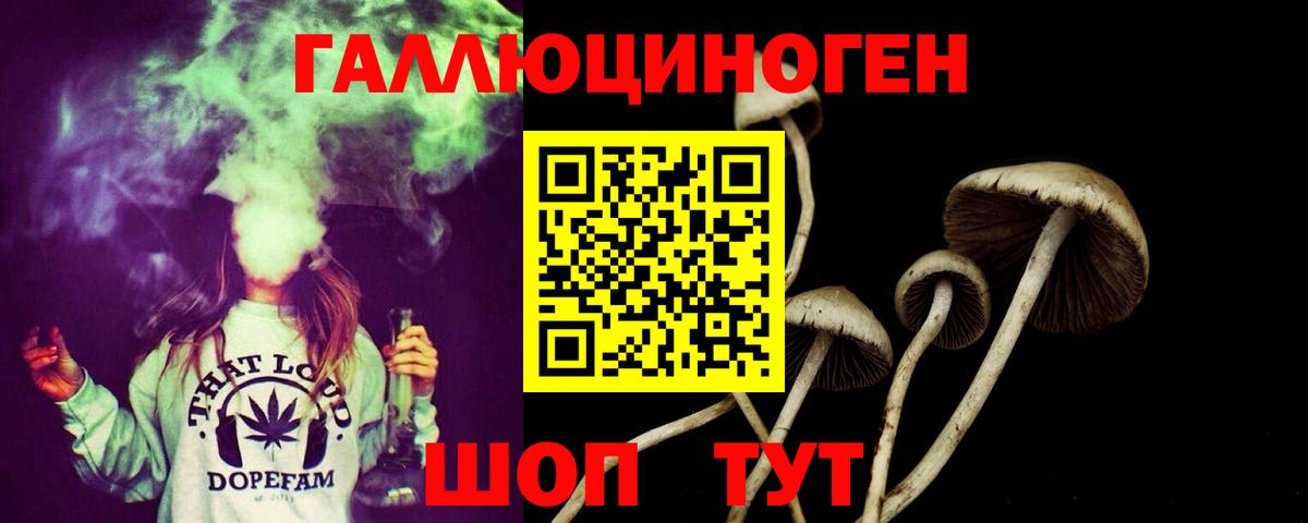 Волжский  Галлюциногенные грибы мухоморы  Псилоцибиновые грибы Psilocybe  Вход с VPN 
